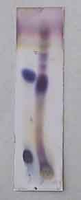 Описание: http://www.sev-chem.narod.ru/foto/chemposuda/37s.jpg